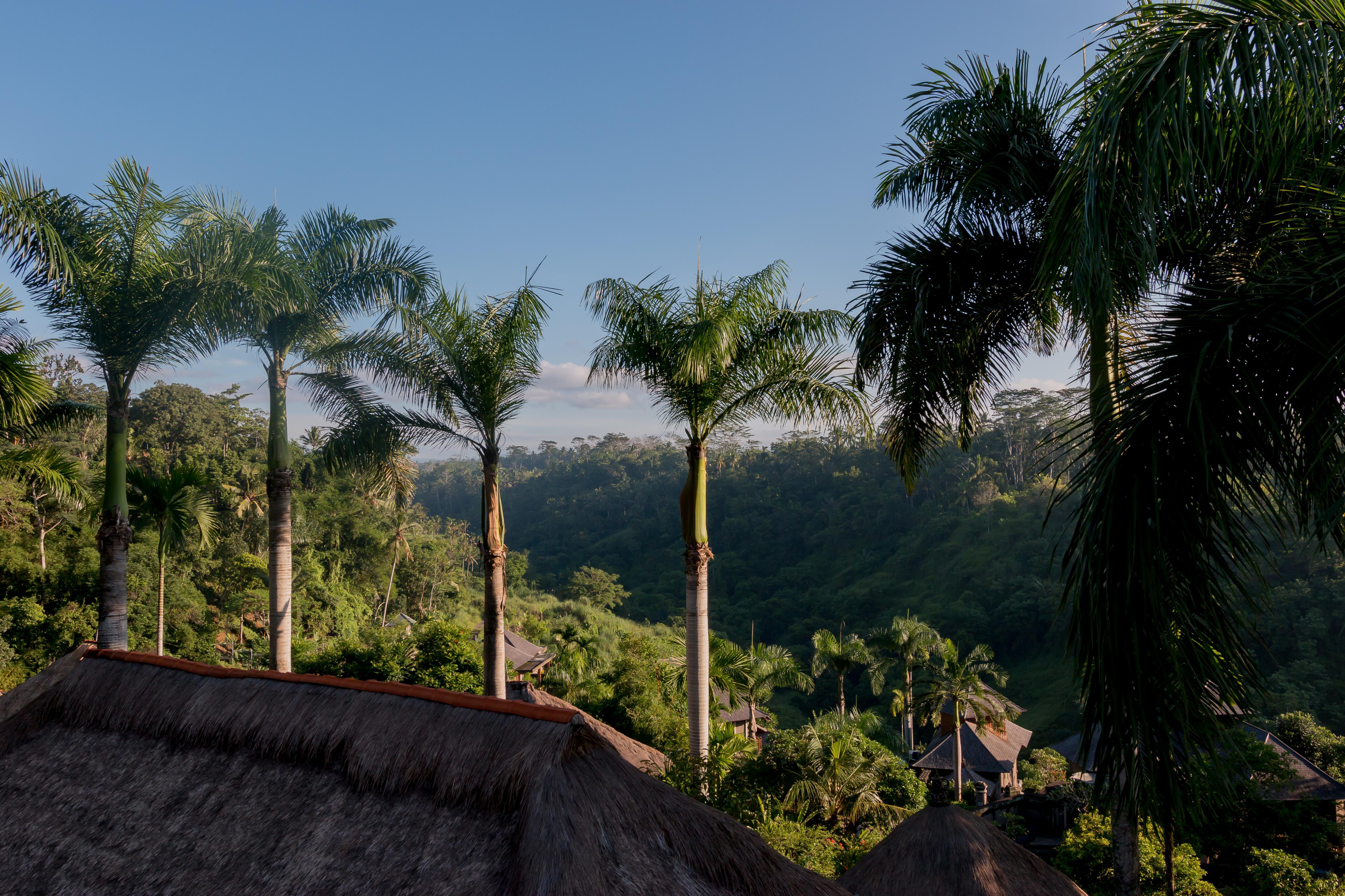 The Payogan Villa Resort And Spa Ubud Esterno foto