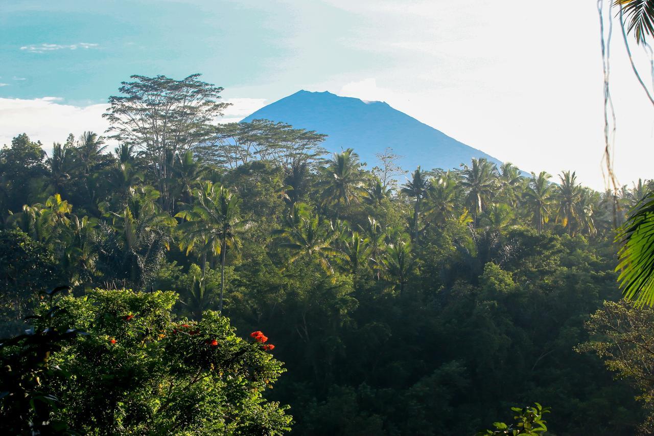 The Payogan Villa Resort And Spa Ubud Esterno foto